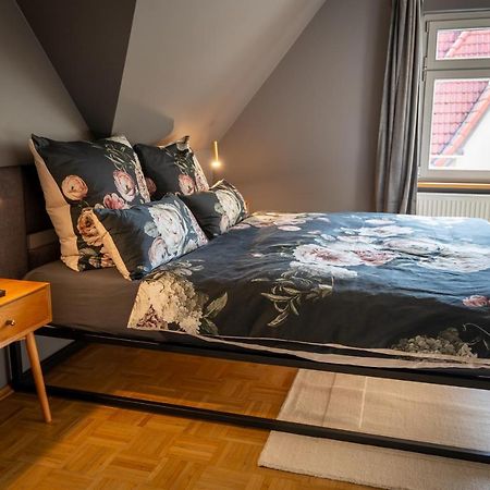 K17 Ankommen Und Wohlfuehlen Dresden Exteriör bild
